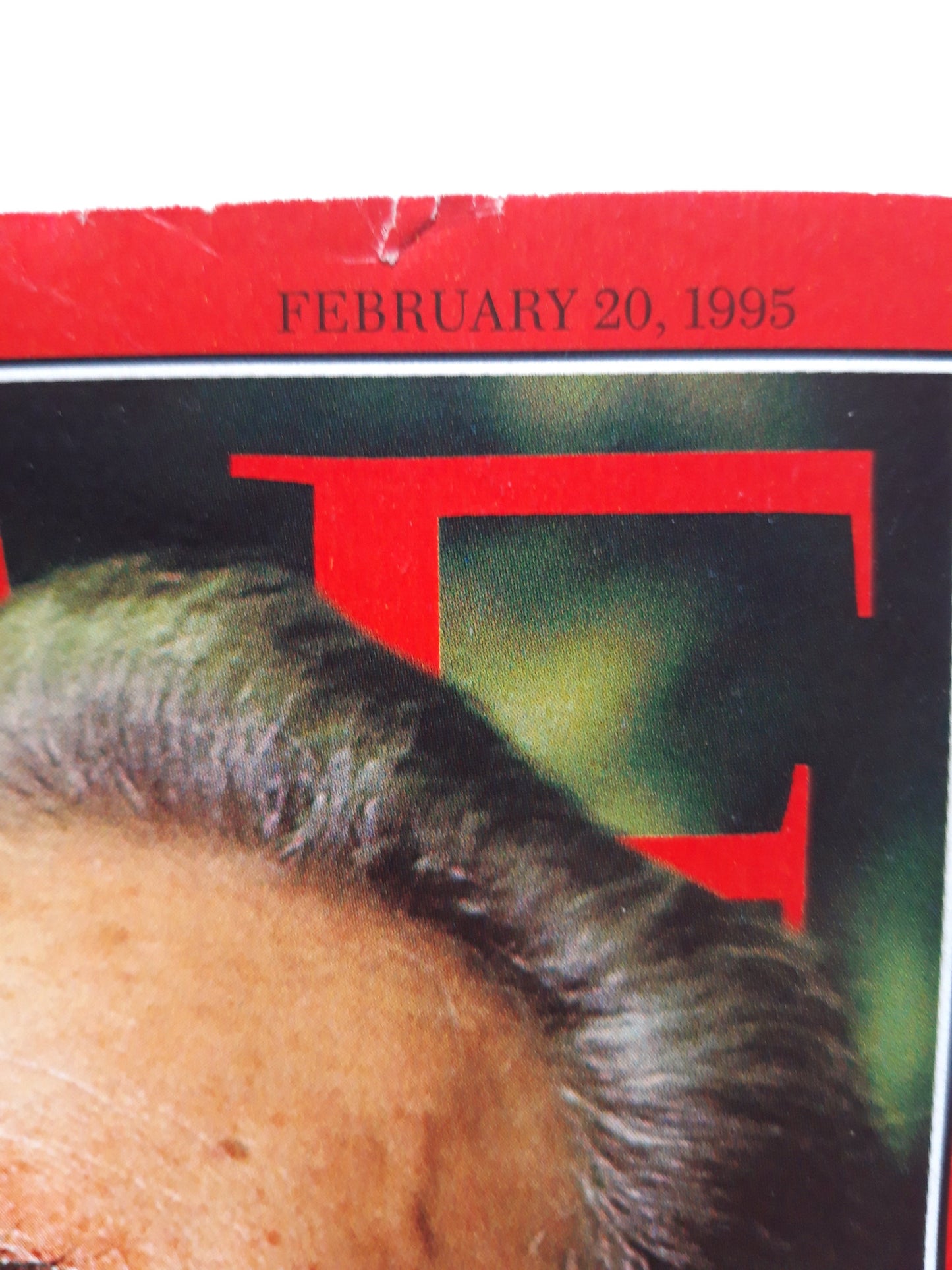Time magazine The Lion in Winter Fidel Castro 20. Februar 20Th February 20.02.1995