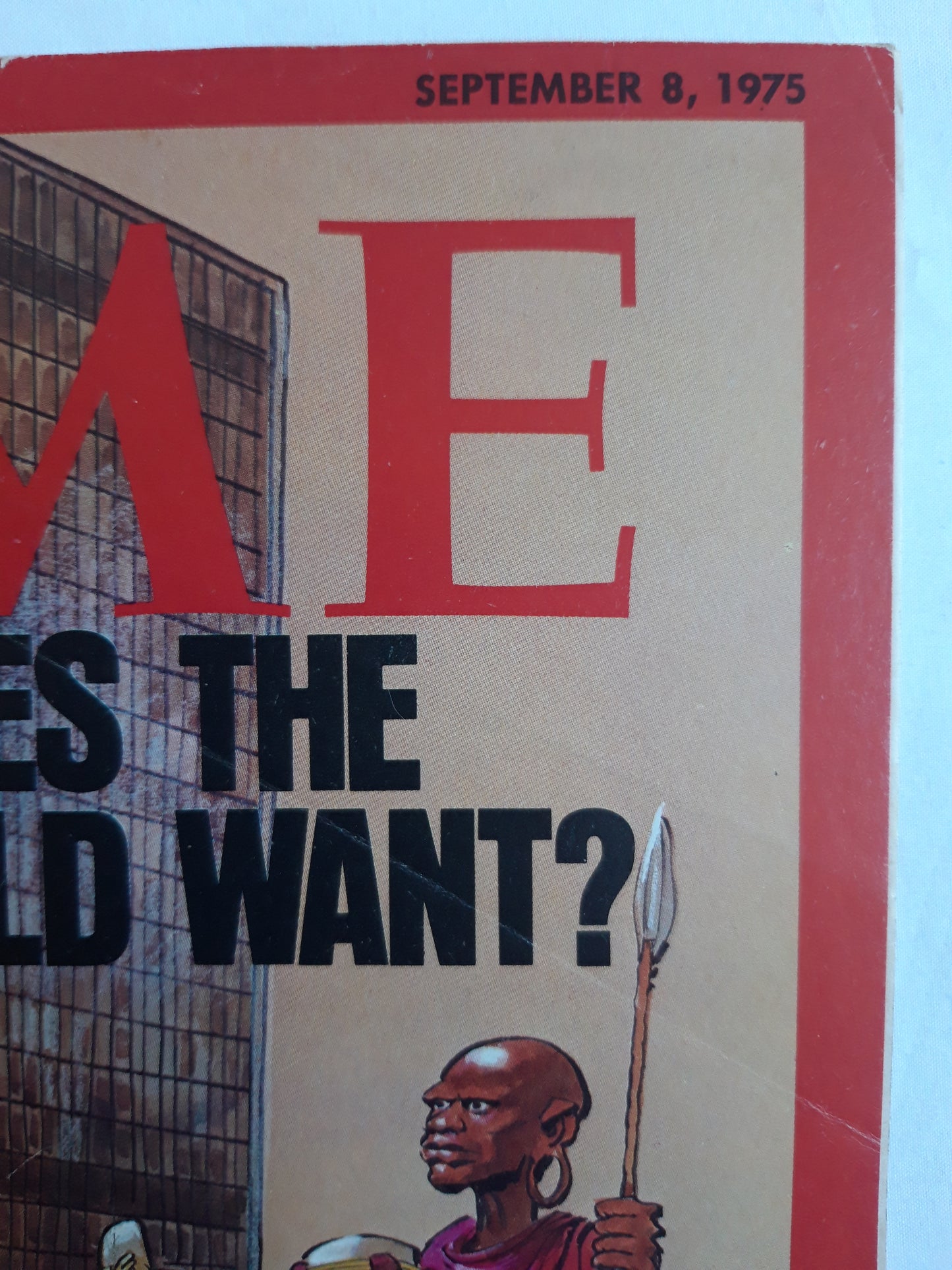 Time magazine What Does The Third World Want? Inside: "I Am a Homosexual" 08.09.1975 September 1975