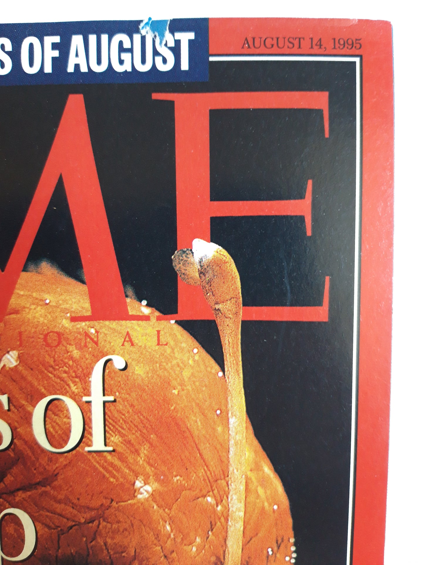 Time magazine Mysteries of The Deep Ocean floor Balkans Anglerfish The Guns of August 14.08.1995 August 1995