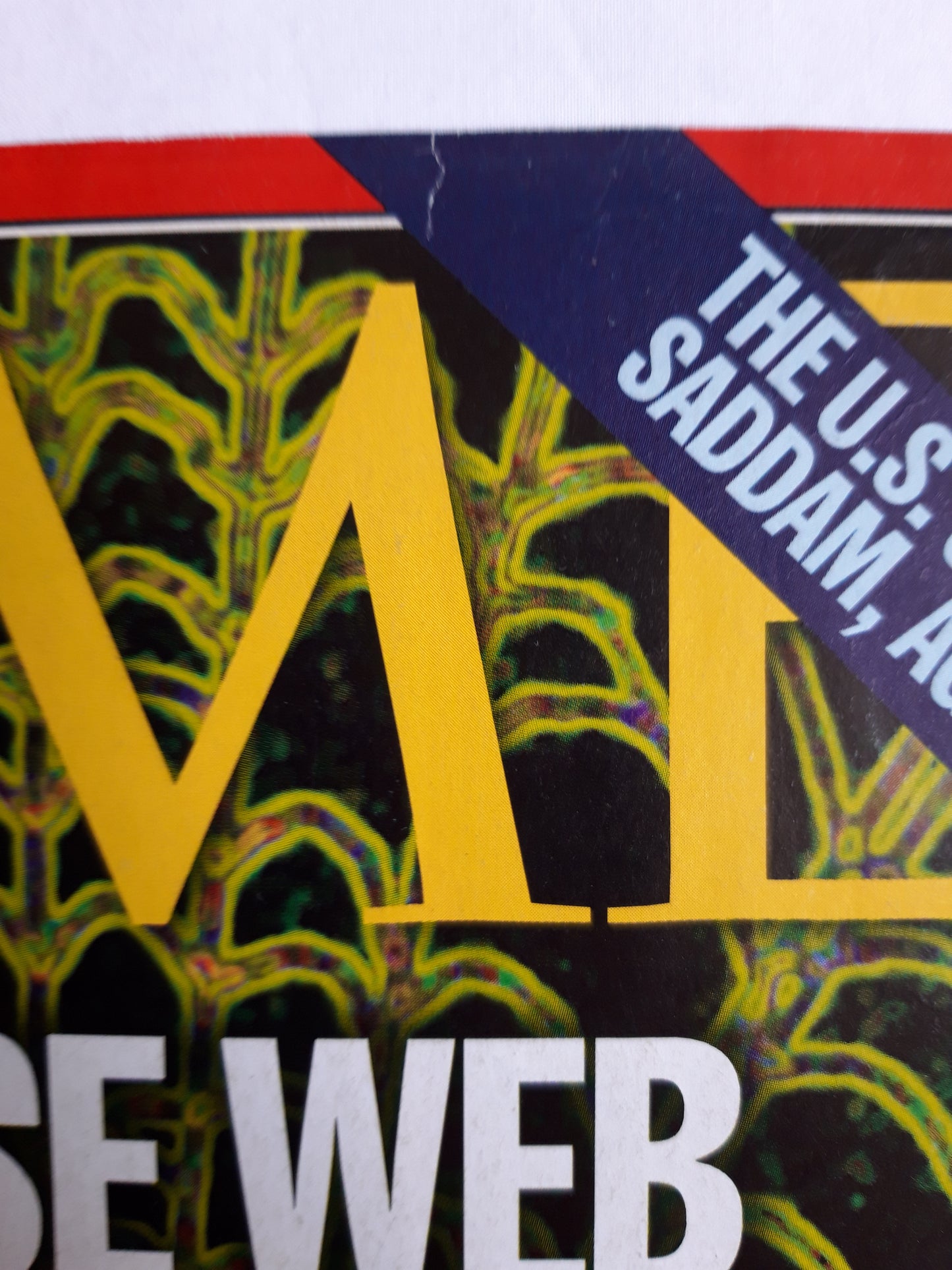 Time magazine Whose Web Will it be? Computer world Internet Microsoft Netscape Bill Gates could rulethe Information Age Saddam Hussein 16.09.1996 16. 16th September 1996