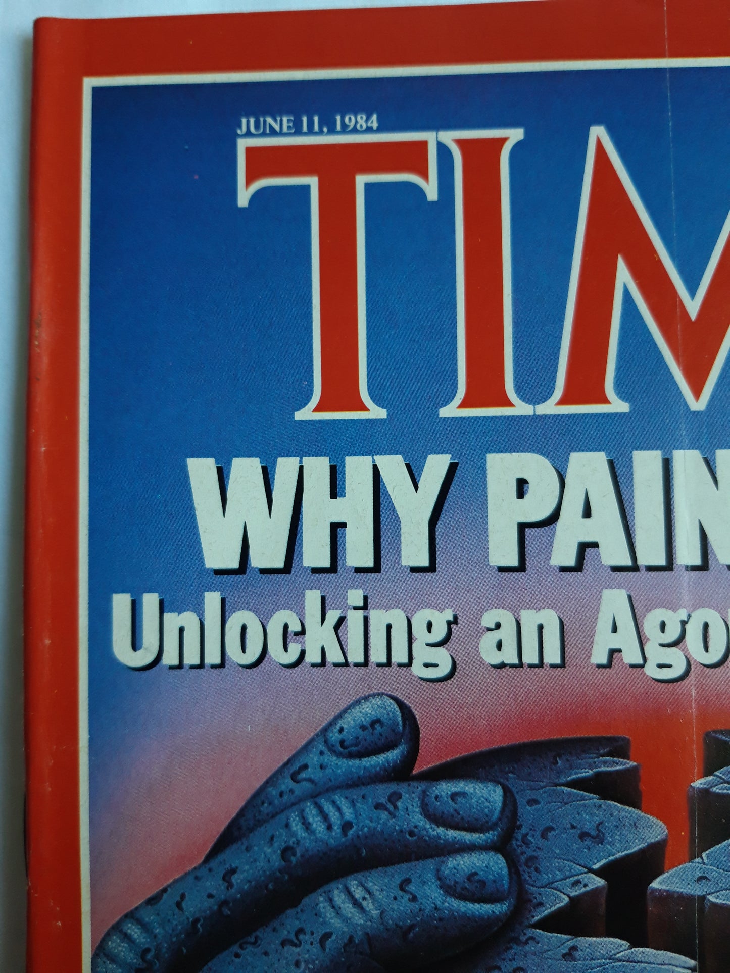 Time magazine Why Pain Hurts Unlocking an Agonizing Mystery Reagan in Europe Summitry and Sentiment 11.06.1984 Juni 1984 No.24