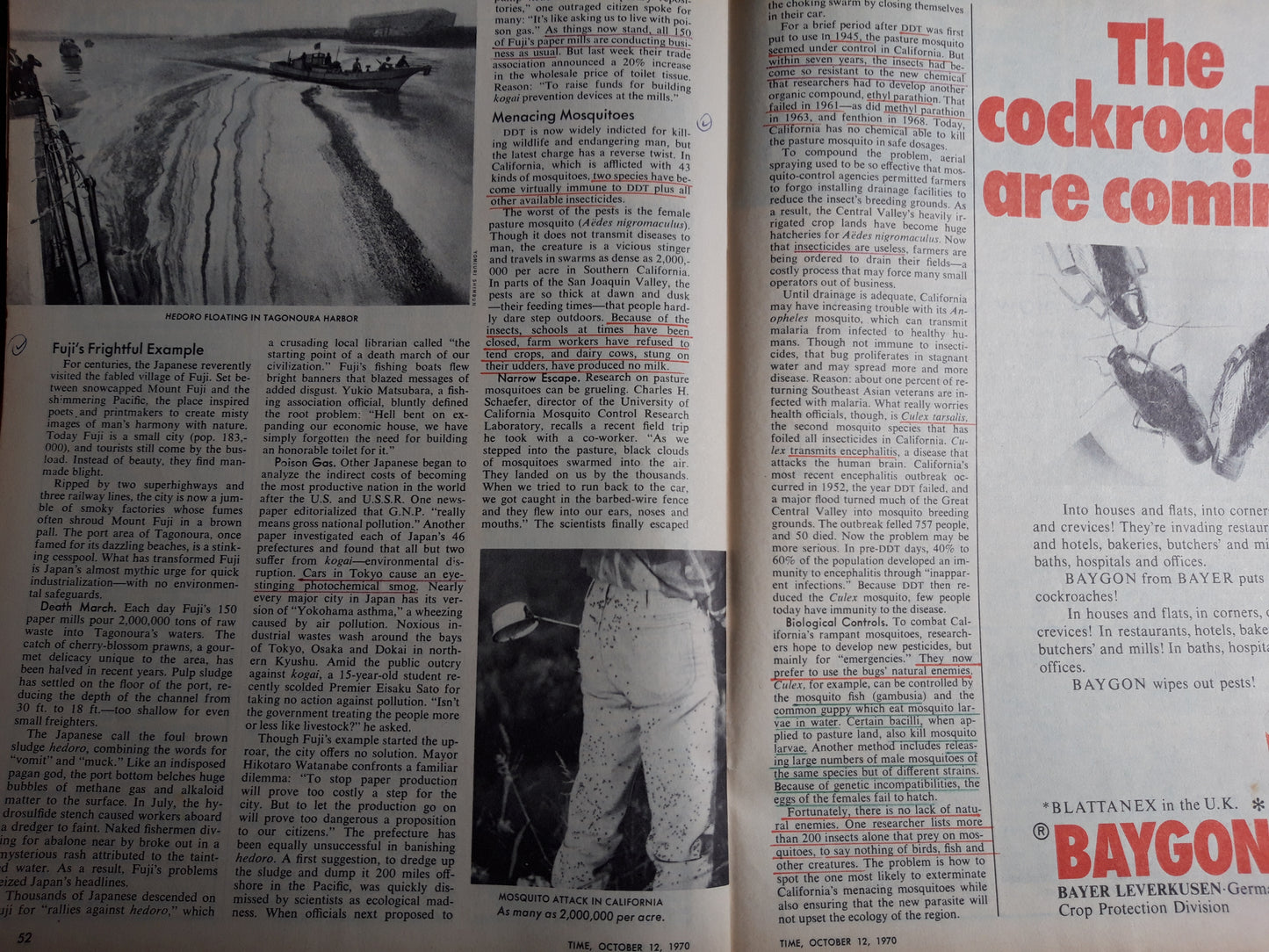Time magazine The Arab World After Gamal Abdel Nasser 12.10.1970 Oktober 1970