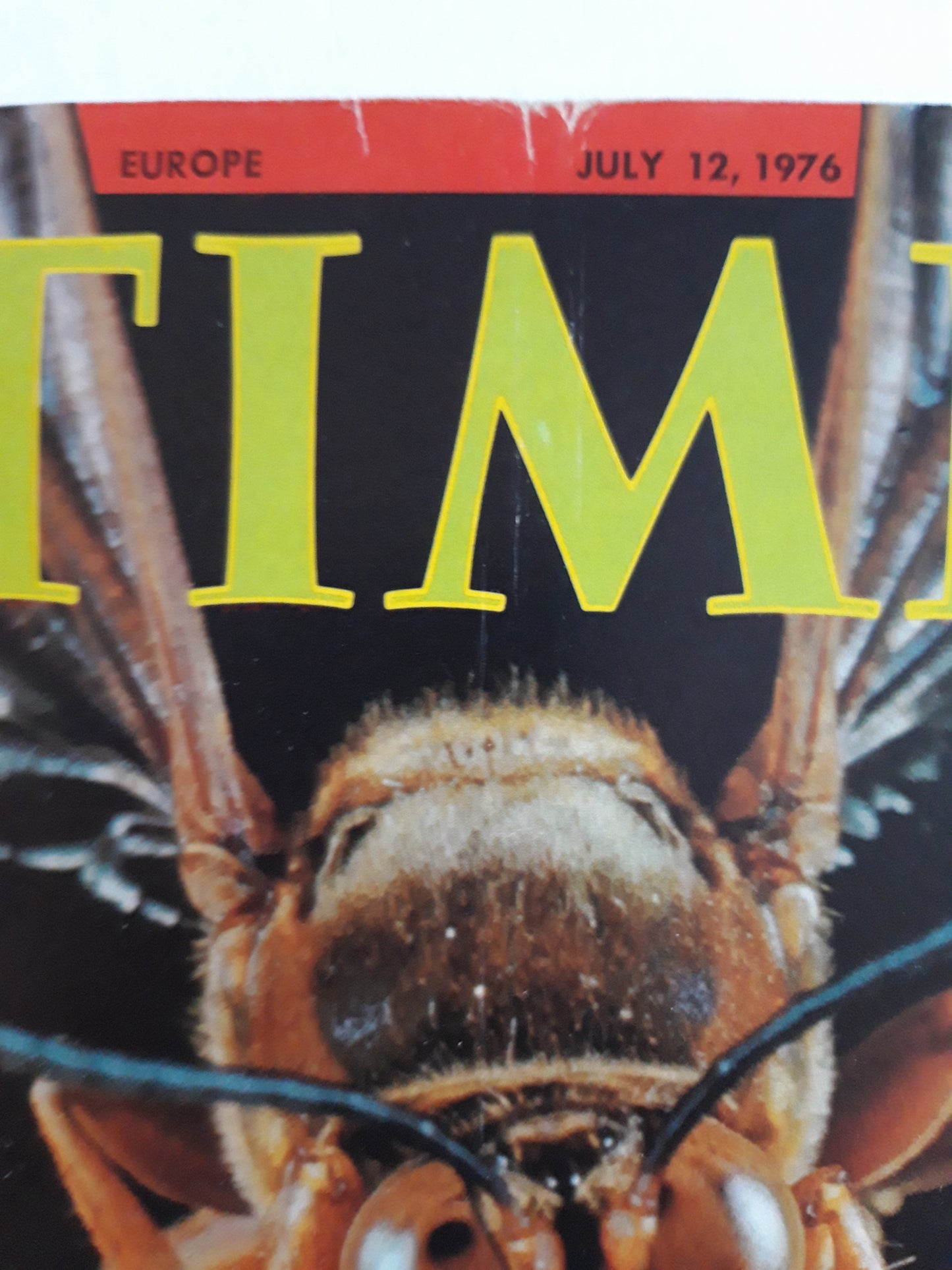 Time magazine The Bugs Are Coming 12.07.1976 Juli 1976
