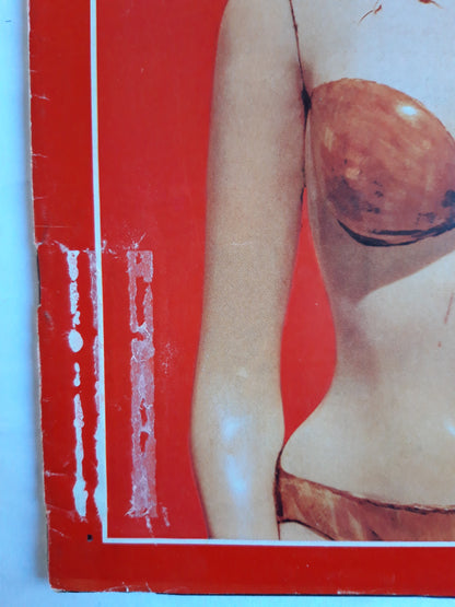 Time magazine Raquel Welch Sex Symbol 28.11.1969 November 1969