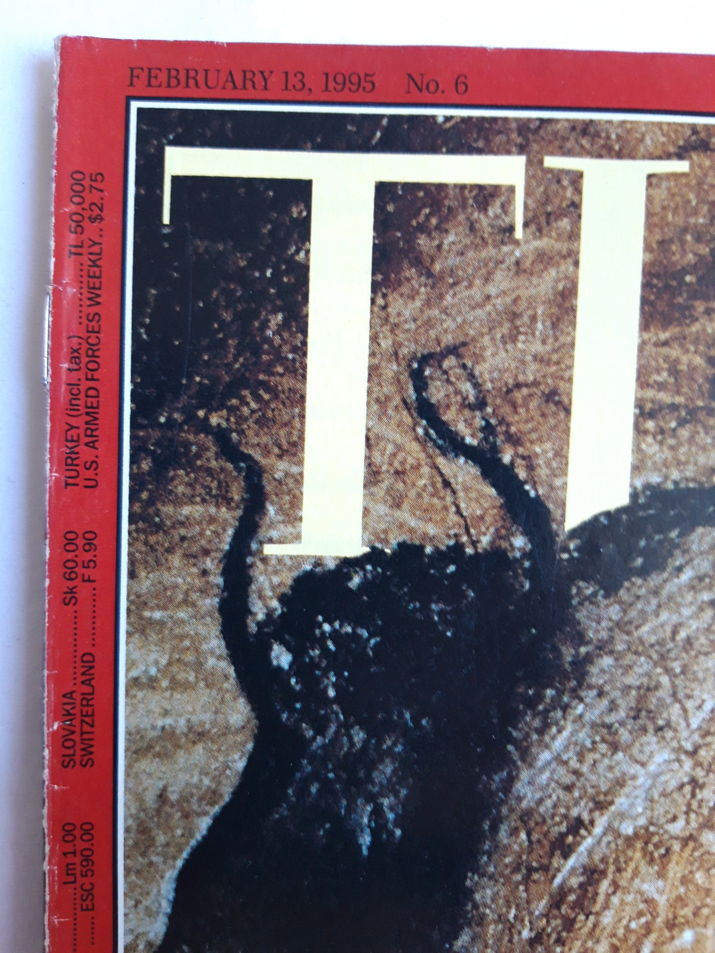 Time magazine Secrets Of The Stone Age Europe Assault on the Dikes  A stunning look at the magical cave painting that shed new light on earlyhumans 13.02.1995 Februar 1995 No.6