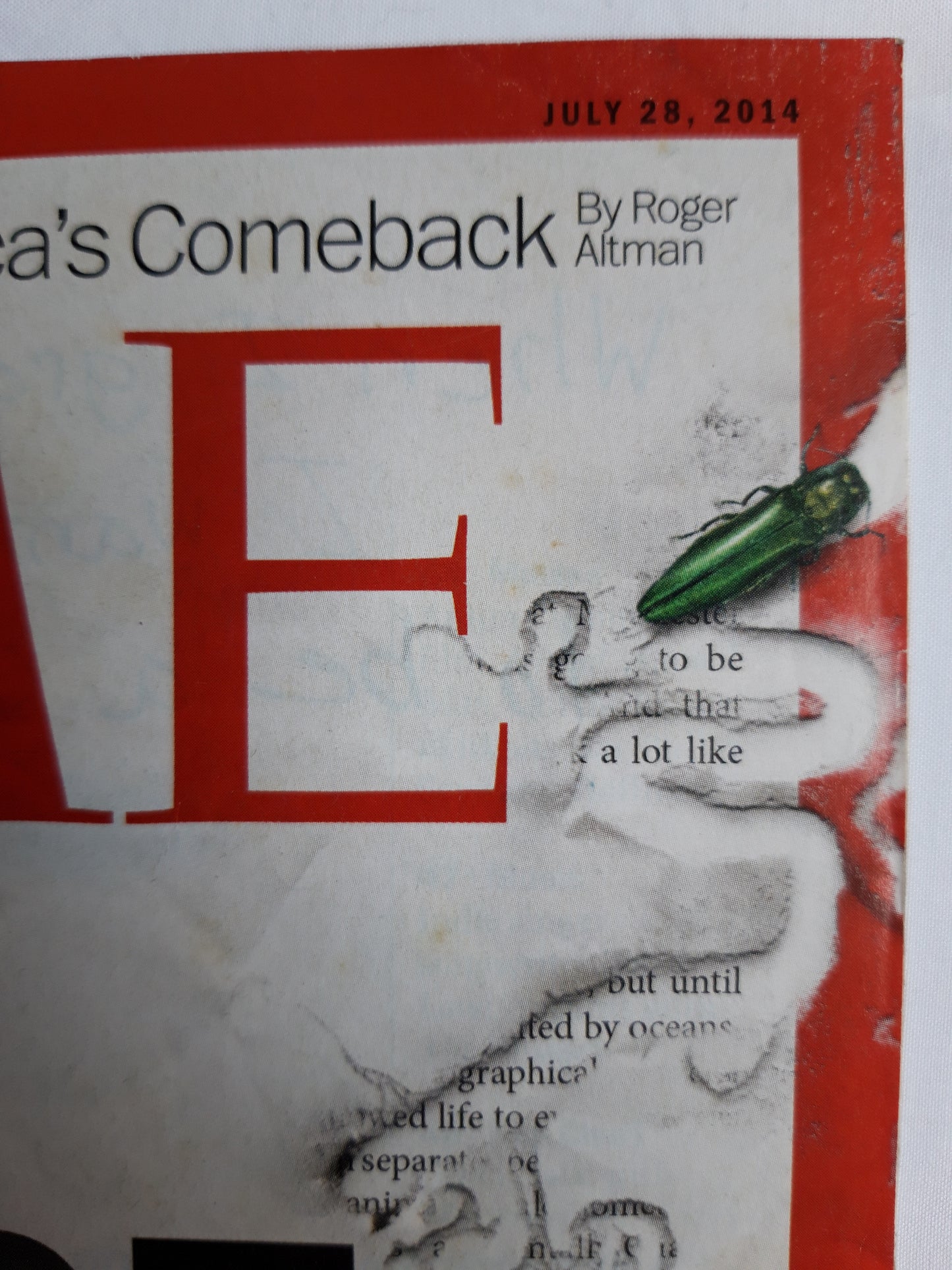 Time magazine Space Invaders From Russian beetles to giant African snails Obama`s Border Shame America`s Comeback 28.07.2014 Juli 2014