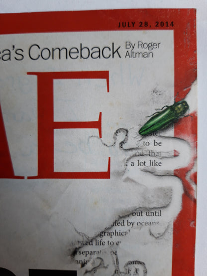 Time magazine Space Invaders From Russian beetles to giant African snails Obama`s Border Shame America`s Comeback 28.07.2014 Juli 2014