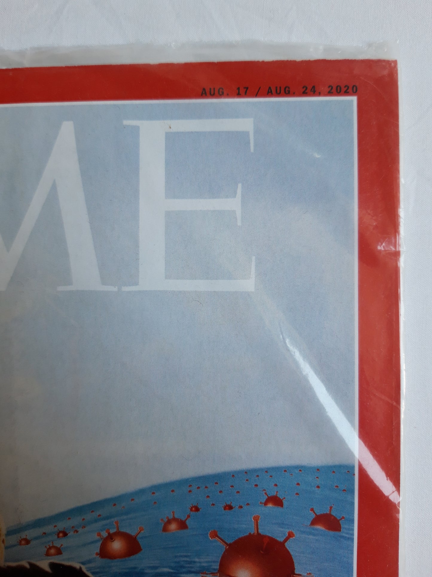Time magazine The Plague Election Joe Biden vs. the Internet The coming global depression 17.08./24.08.2020 August 2020 OVP