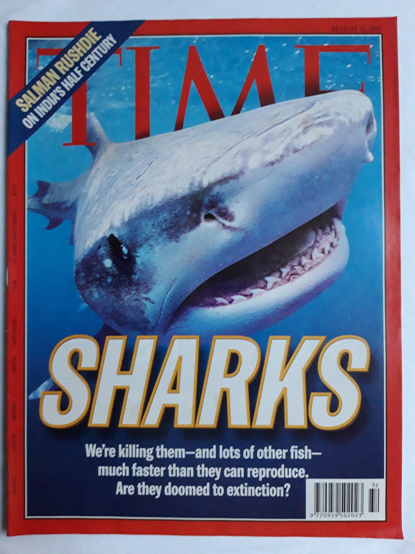 Time magazine Sharks Salman Rushdie on India`s half century 11.08.1997 11th 11. August 1997