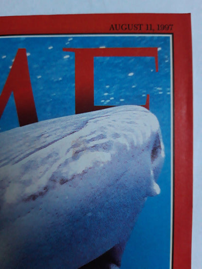 Time magazine Sharks Salman Rushdie on India`s half century 11.08.1997 11th 11. August 1997