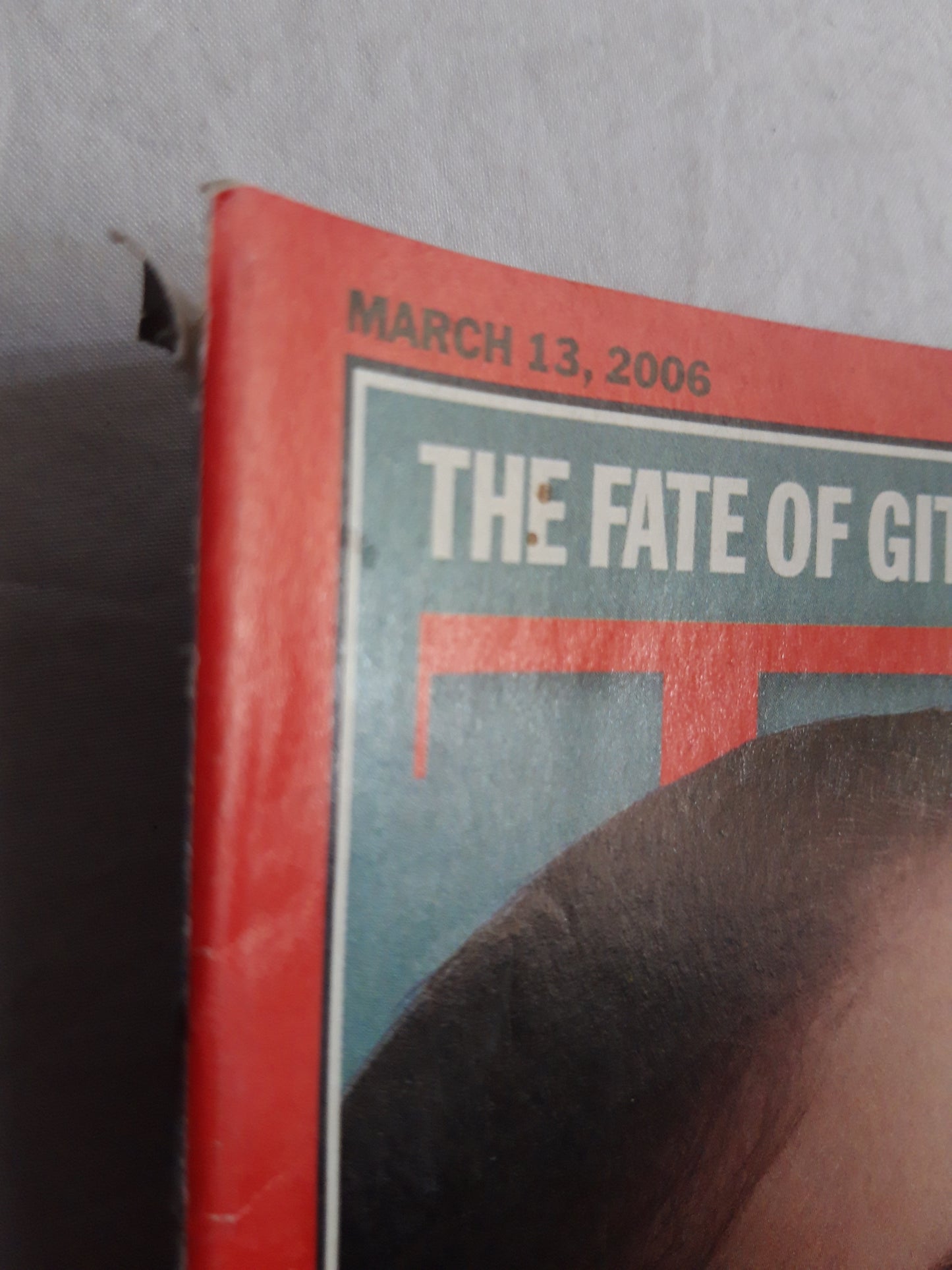 Time magazine Face Facts Europe has fallen in love with Cosmetic surgery Fate of Gitmo Detainee 063 Rural unrest in China 13.03.2006 March März 2006